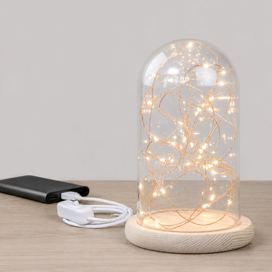 Fanal Luces Led